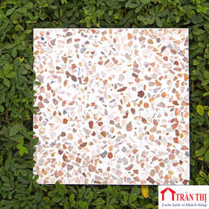 MS04-KT20X20