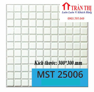 MST25006