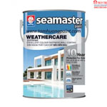Weathercare supreme 9100 5L - H