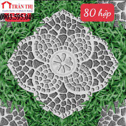 gạch men lát sân 50 x 50 tại Huế