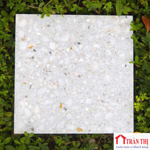 MS03 - KT20X20