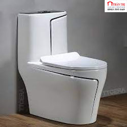 Bồn Cầu 1 Khối 010