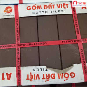 ĐV- Socola tráng men - QG