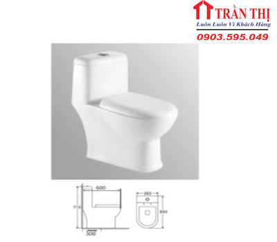 Bồn cầu RS-C888-TDP