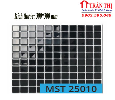 MST25010