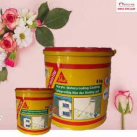 Sơn Chống Thấm Tường Sika Raintite-4kg