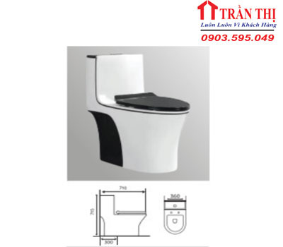 Bồn cầu RS-C986-TĐP
