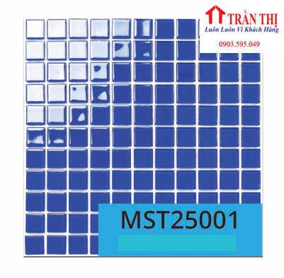 MST25001