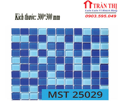 MST25029