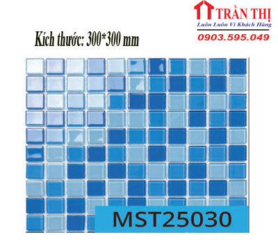 MST25030