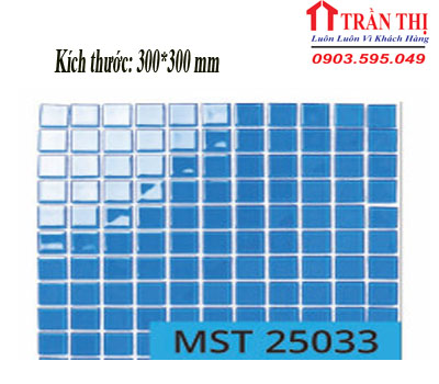 MST25033