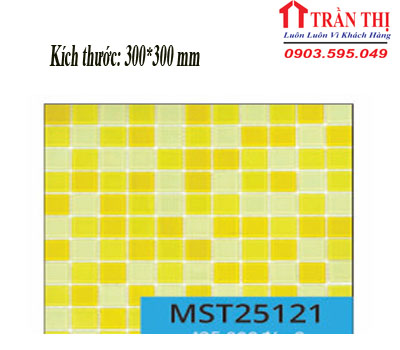MST25121