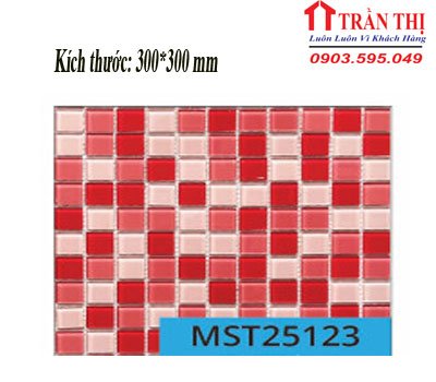 MST25123