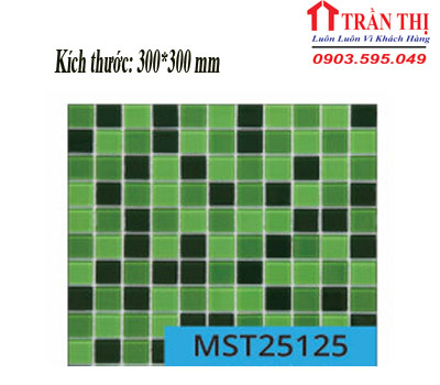 MST25125