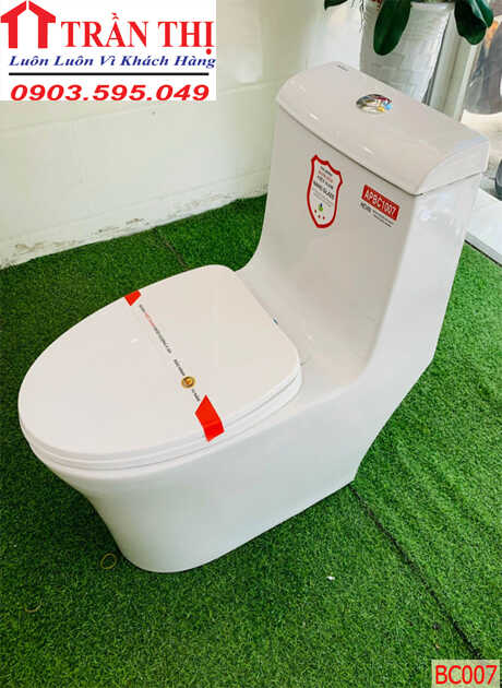 Bồn cầu RS-BC007-TĐP