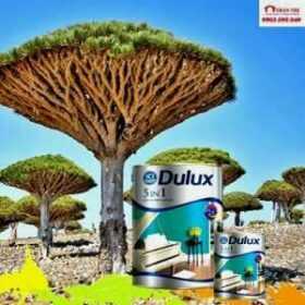 Dulux 5 in 1 Cao Cấp - Màu Nhạt(lon 5l)