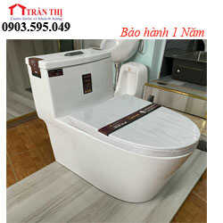 Bồn Cầu: BC W1